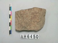 藏品(打製石斧)的圖片